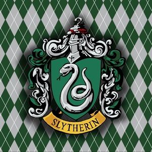 Harry Potter SLYTHERIN Merch Mystery Box